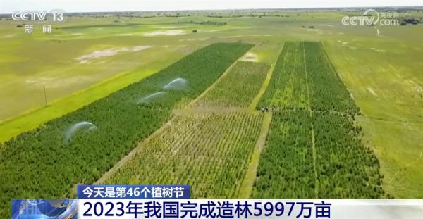 亮眼数据勾勒“植”此青绿成绩单 逐绿而行擦亮高质量发展底色