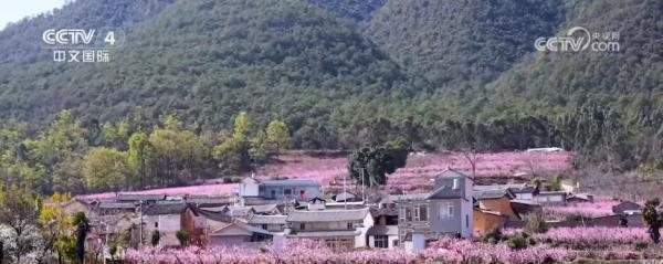 闻香赏花春已至 一起感受生机盎然的祖国大美河山