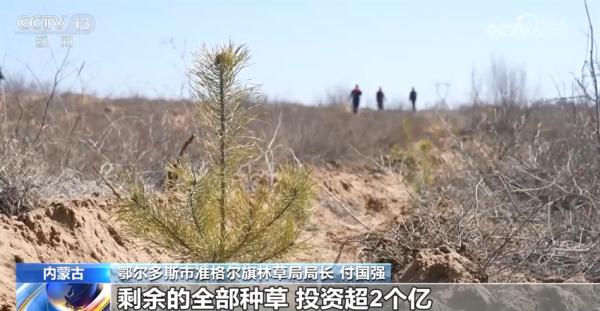 亮眼数据勾勒“植”此青绿成绩单 逐绿而行擦亮高质量发展底色