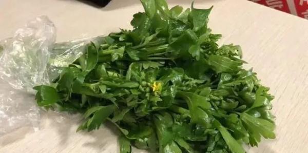 紧急提醒：别碰！别吃！