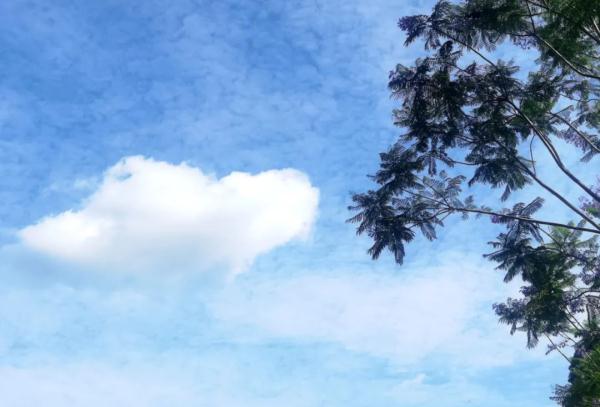 短暂放晴!广西新一轮降雨即将“到货” 短暂放晴!广西新一轮降雨即将“到货”