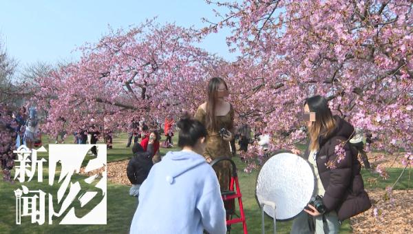 禁止携带!上海人"又爱又恨"!网友:早该"做规矩"了... 禁止携带!上海人"又爱又恨"!网友:早该"做规矩"了...