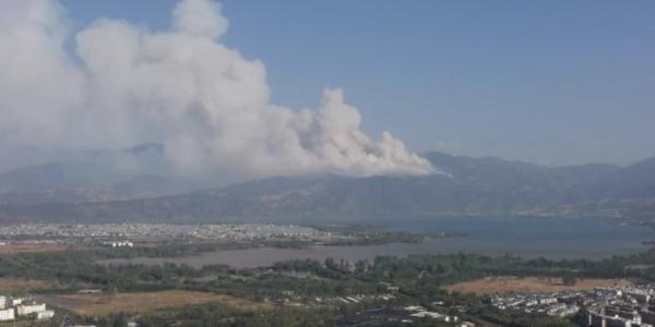 打火机烧水管引发森林火灾!西昌一村民被判刑4年 打火机烧水管引发森林火灾!西昌一村民被判刑4年