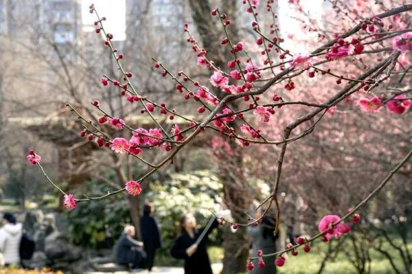 西安会有“倒春寒”吗?最新消息→ 西安会有“倒春寒”吗?最新消息→