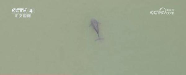 闻香赏花春已至 一起感受生机盎然的祖国大美河山