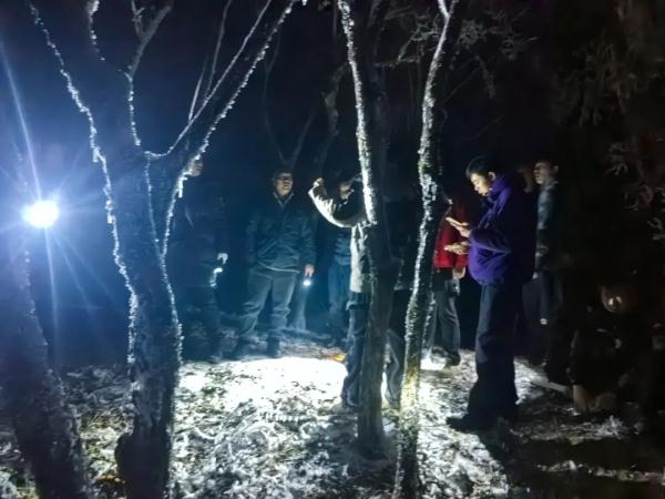 凌晨大围山,110、119都来了! 凌晨大围山,110、119都来了!