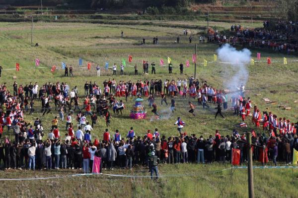 二月二，壮乡儿女“抢花炮”