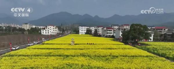 闻香赏花春已至 一起感受生机盎然的祖国大美河山