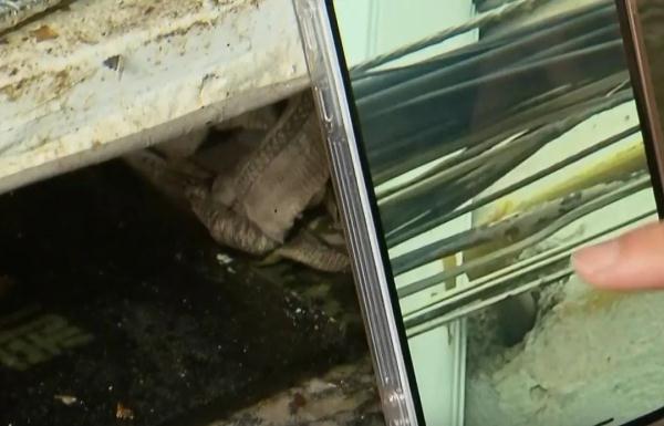 超过十年!楼道厨房成“钉子户”,烧饭重要还是安全重要? 超过十年!楼道厨房成“钉子户”,烧饭重要还是安全重要?