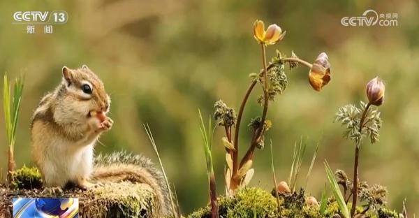 新“热潮”、新业态、新升级涌动新气象 “尔滨”多措并举让“流量”变“增量” 新“热潮”、新业态、新升级涌动新气象 “尔滨”多措并举让“流量”变“增量”