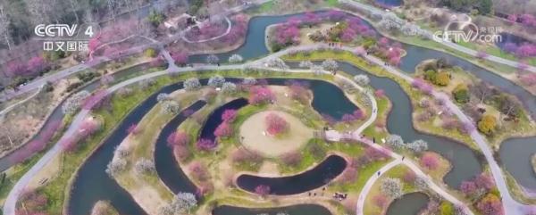 闻香赏花春已至 一起感受生机盎然的祖国大美河山