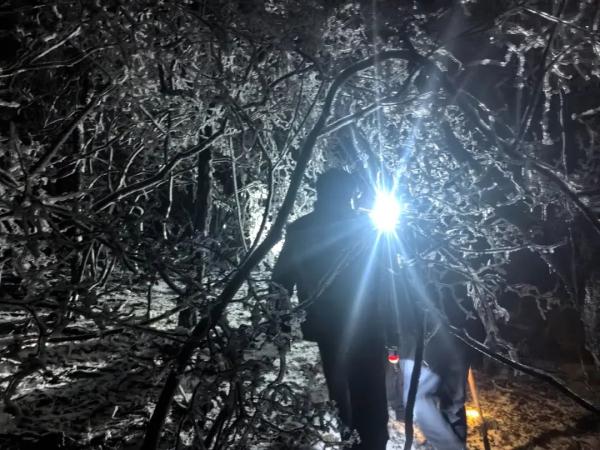 凌晨大围山,110、119都来了! 凌晨大围山,110、119都来了!