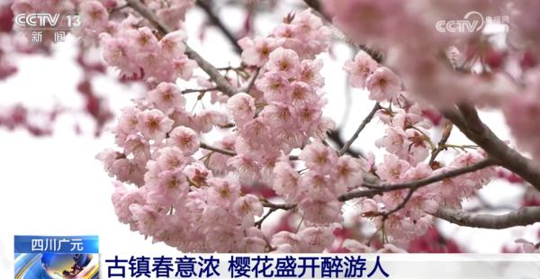 “实”字扑面干劲足 中国式现代化美好图景将一步步变为现实