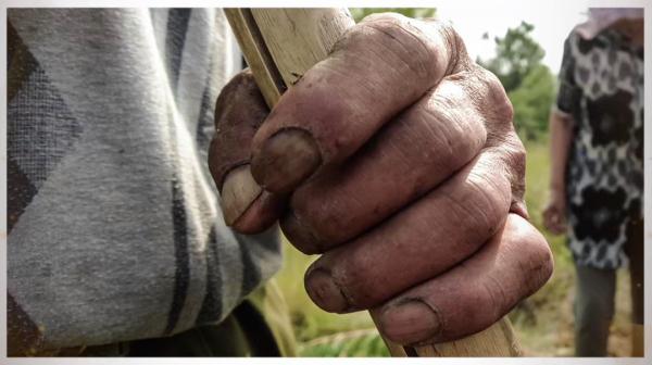 植树节前，为家乡种树的“绿化将军”走了