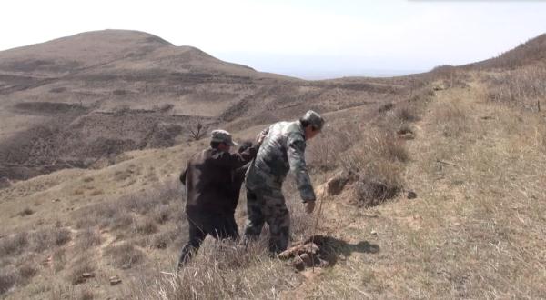 植树节前，为家乡种树的“绿化将军”走了
