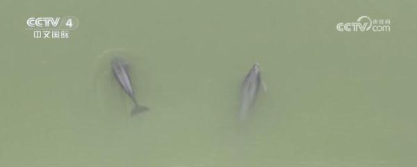 闻香赏花春已至 一起感受生机盎然的祖国大美河山