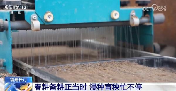 “实”字扑面干劲足 中国式现代化美好图景将一步步变为现实