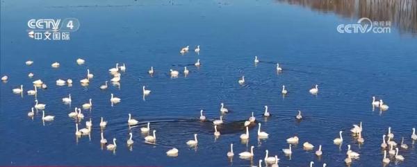 闻香赏花春已至 一起感受生机盎然的祖国大美河山