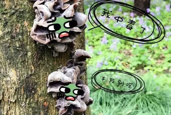 上海人的朋友圈又流行起了这事儿?紧急提醒:碰都不要碰! 上海人的朋友圈又流行起了这事儿?紧急提醒:碰都不要碰!