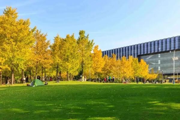 太夸张，在上海这也要抢！一上网便被“秒杀”...有的一年费用近万元→