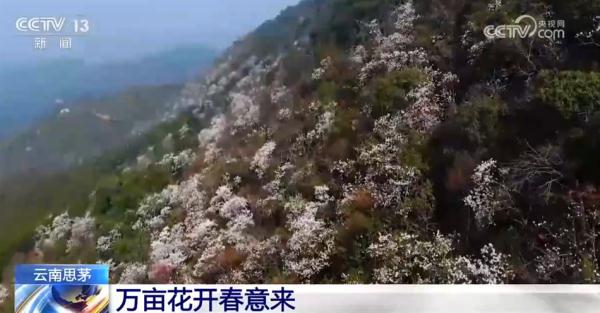 “实”字扑面干劲足 中国式现代化美好图景将一步步变为现实