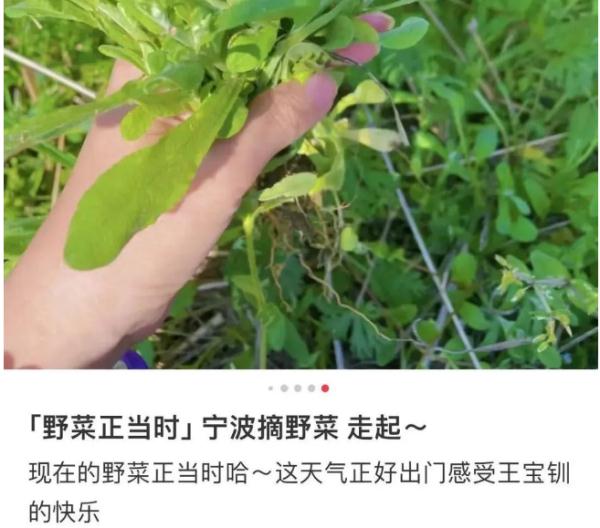 紧急提醒：别碰！别吃！