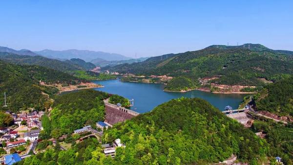 超罕见！杭州一地首次发现