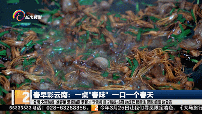 胜过吃肉！豆米焖饭、木棉花傣味酸汤……一口一个“春天”，你“吃春”了吗？