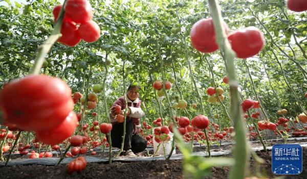 春日农事忙 春日农事忙