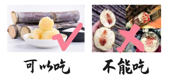 【健康科普】正是高发期！这个东西不要乱吃！不能乱吃！