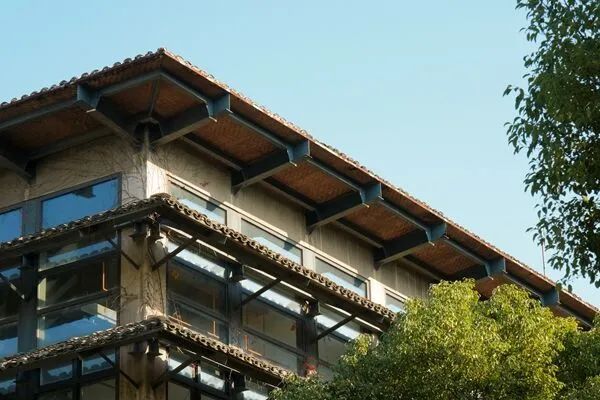 高校图书馆“喵馆长”离世,同学们的告别令人泪目… 高校图书馆“喵馆长”离世,同学们的告别令人泪目…