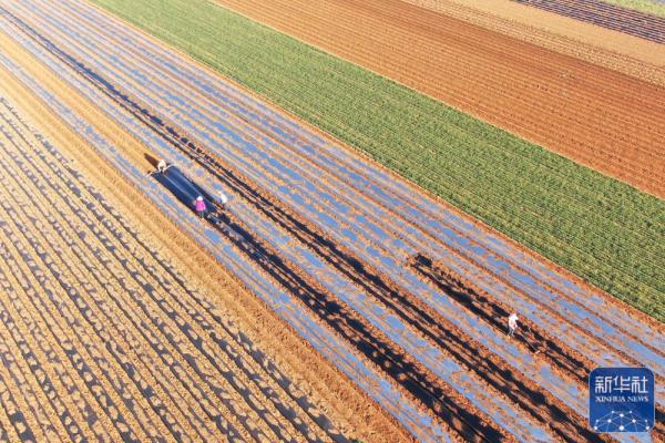 春日农事忙 春日农事忙