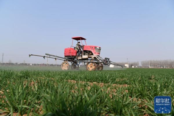 春日农事忙 春日农事忙