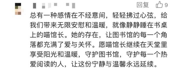 高校图书馆“喵馆长”离世,同学们的告别令人泪目… 高校图书馆“喵馆长”离世,同学们的告别令人泪目…