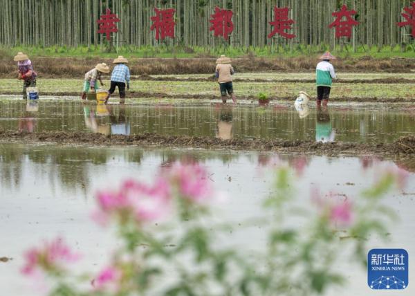 春日农事忙 春日农事忙