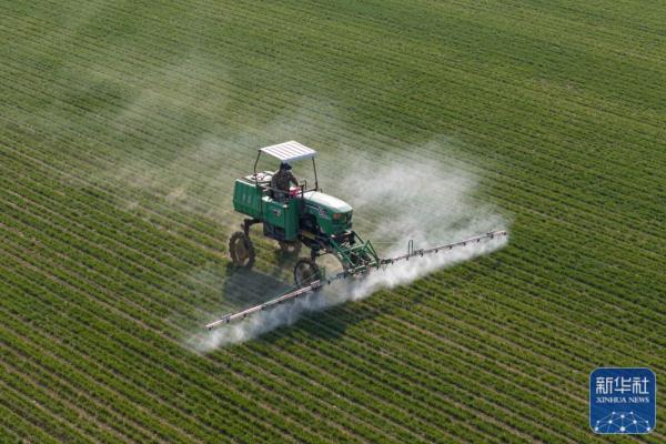 春日农事忙 春日农事忙