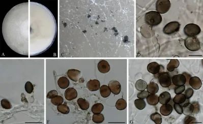 紧急提醒：清明前后，这种水果千万别乱吃！