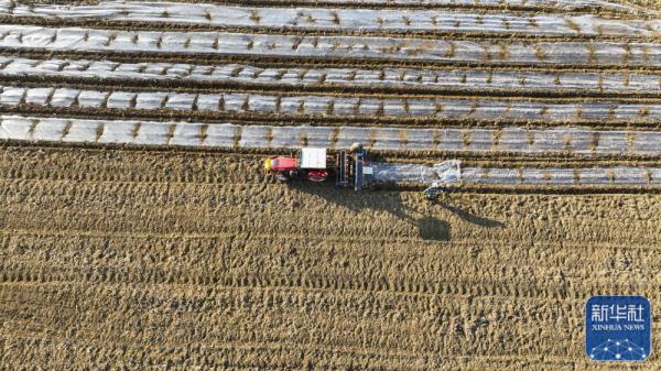 春日农事忙 春日农事忙