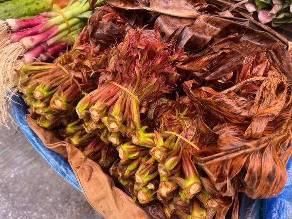 大降价!昆明人的春菜自由要来了 大降价!昆明人的春菜自由要来了