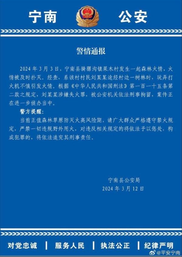 四川警方通报一起森林火情：一村民玩弄打火机引发火情，已被刑拘