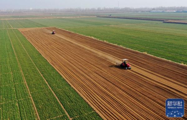 春日农事忙 春日农事忙