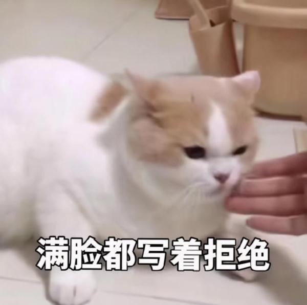 【健康科普】正是高发期！这个东西不要乱吃！不能乱吃！