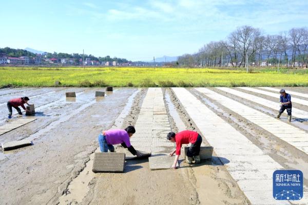 春日农事忙 春日农事忙
