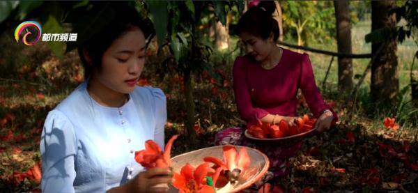 胜过吃肉！豆米焖饭、木棉花傣味酸汤……一口一个“春天”，你“吃春”了吗？