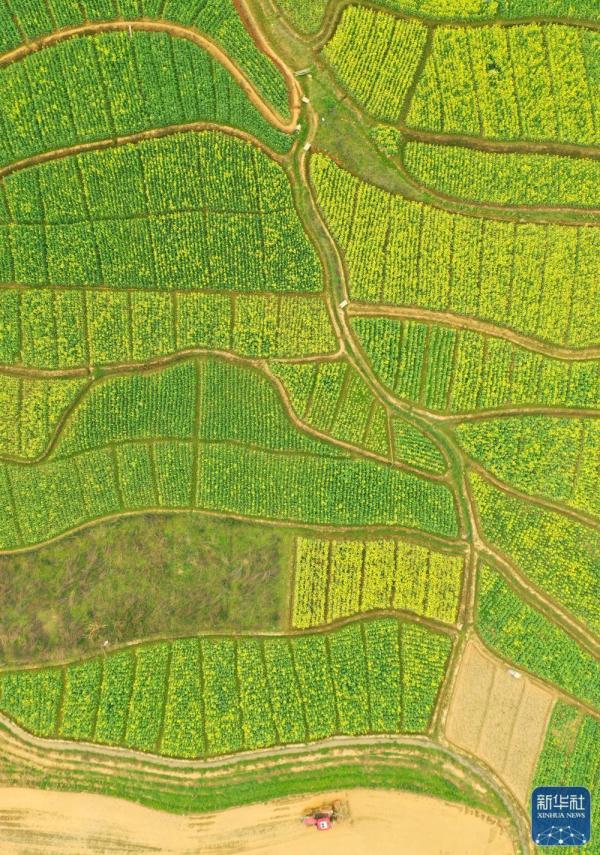 春日农事忙 春日农事忙