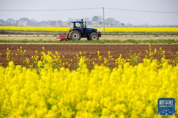 春日农事忙 春日农事忙