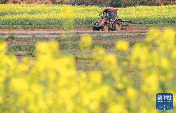 春日农事忙 春日农事忙