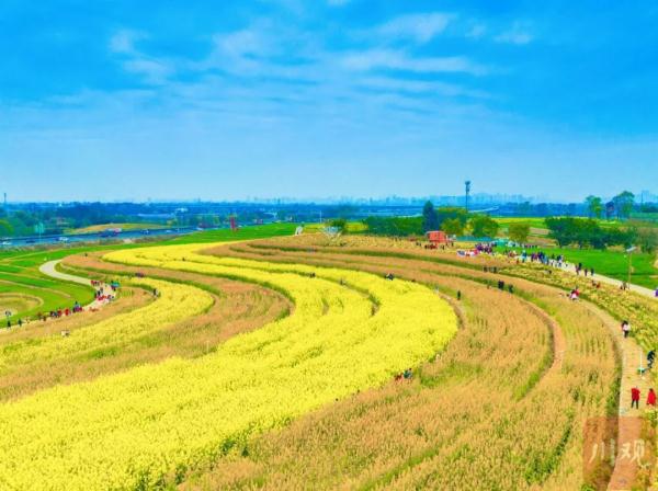 刚刚扛过24年来最冷“数九”！成都接下来是“入夏”还是“倒春寒”？