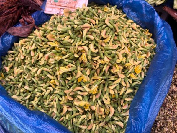 大降价!昆明人的春菜自由要来了 大降价!昆明人的春菜自由要来了