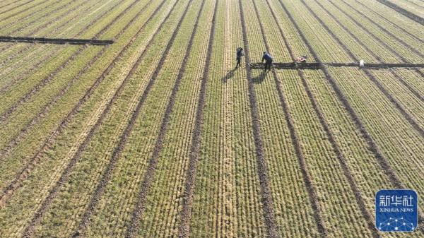 春日农事忙 春日农事忙